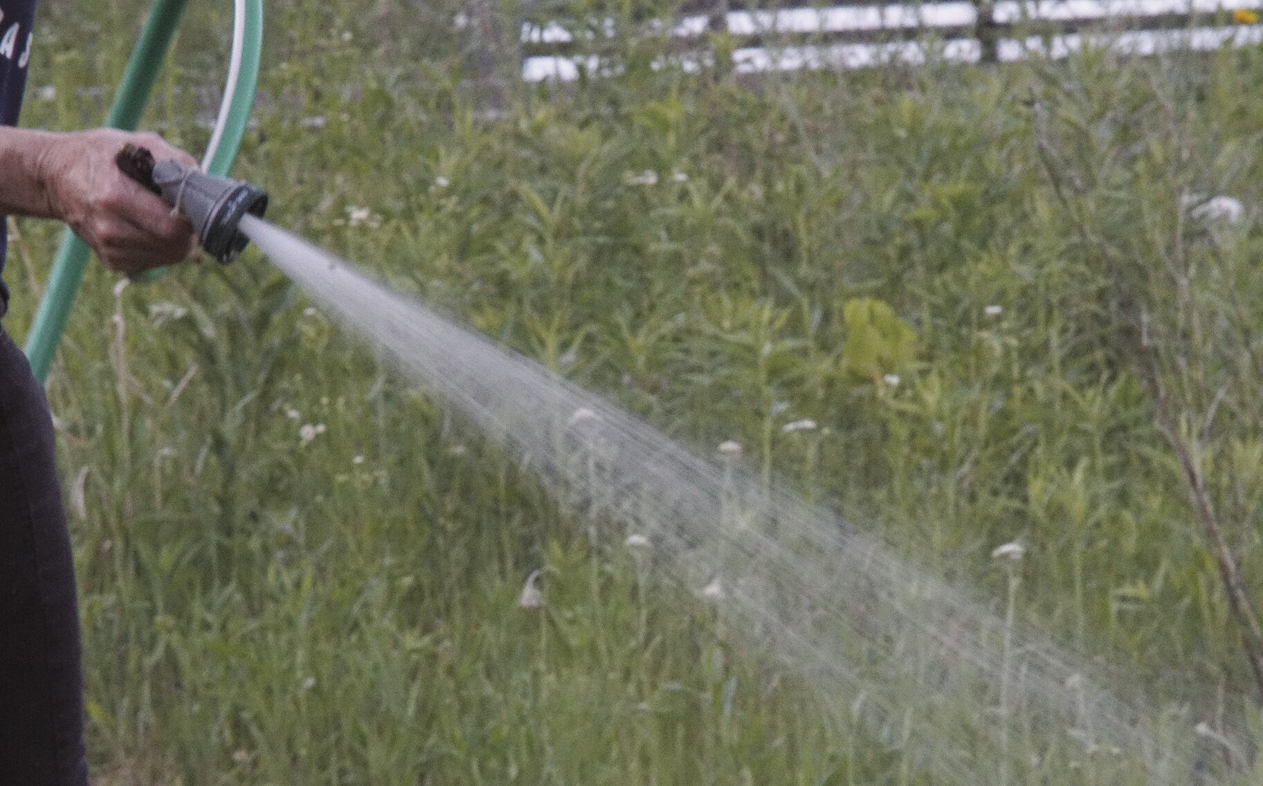 water restrictions